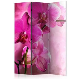 Murando DeLuxe Paraván ružové orchidey 3 dielny